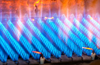 Horseshoe Green gas fired boilers